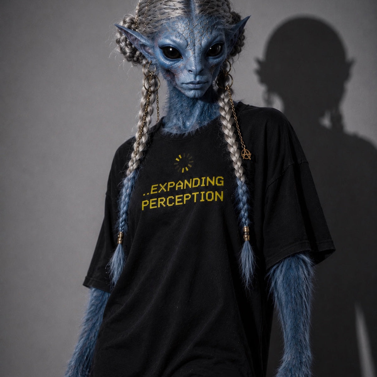 Expanding Perception T